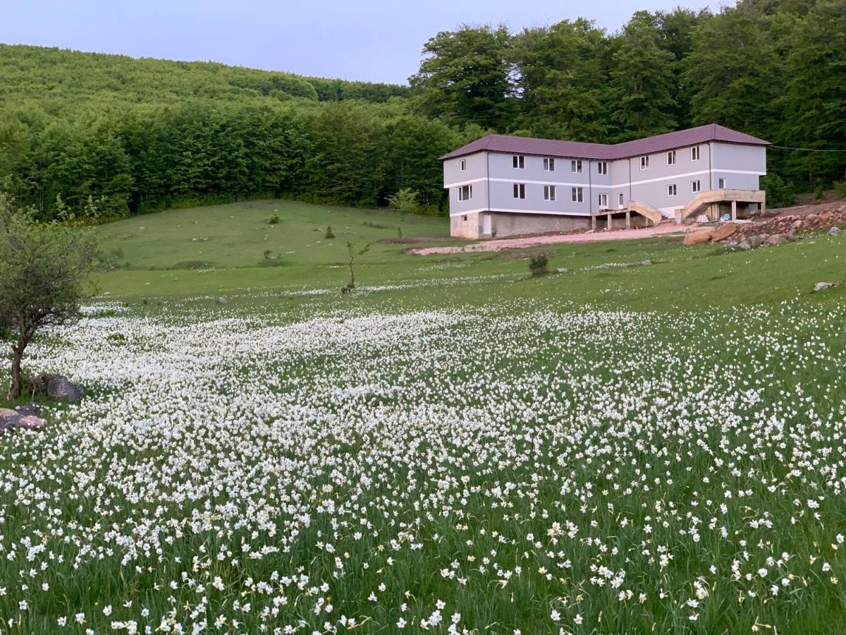 Bujtina Shehu Hotel Kukes Exterior foto